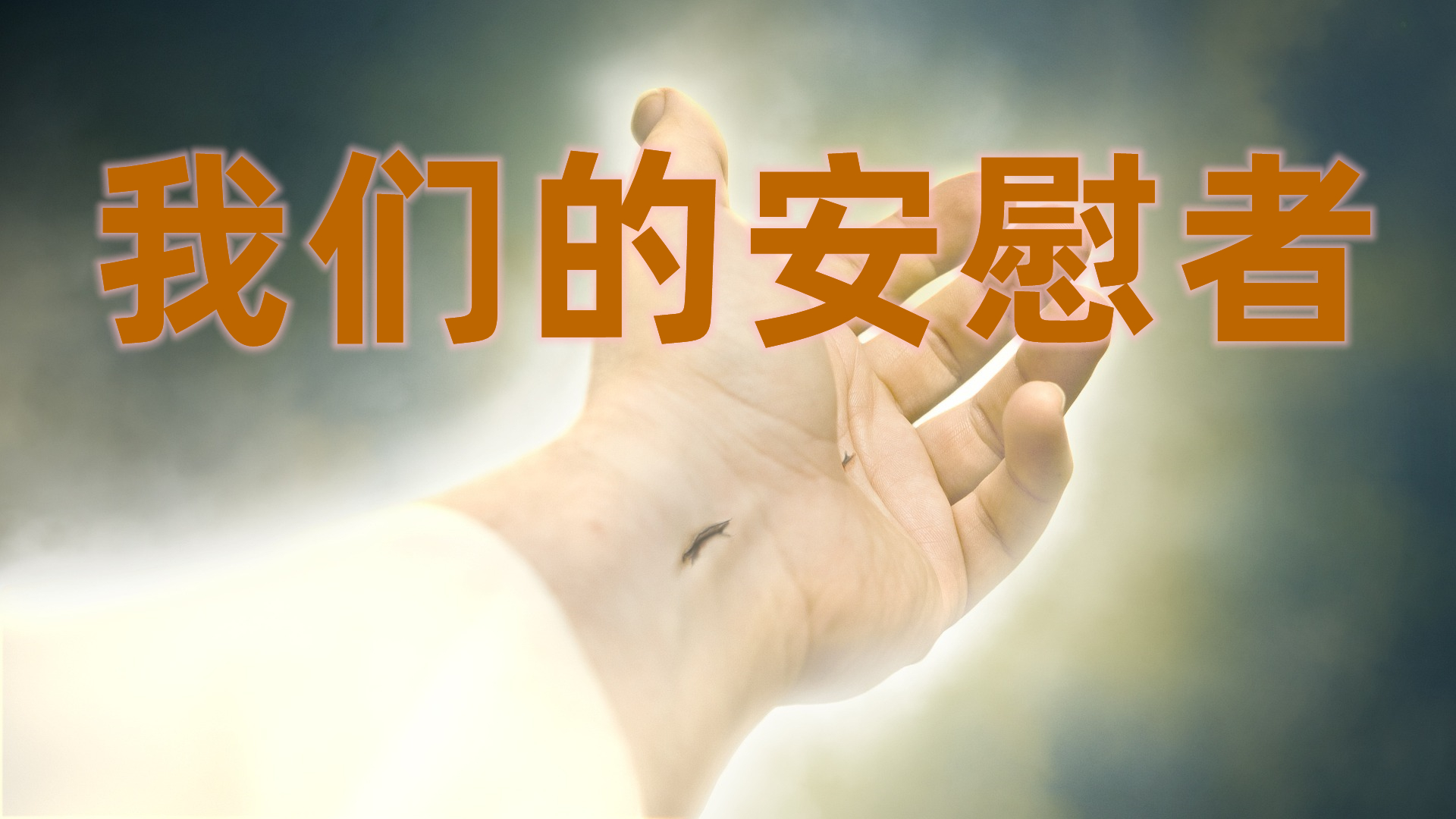 我们的安慰者(2023/5/29) - 聖愛国際基督教會