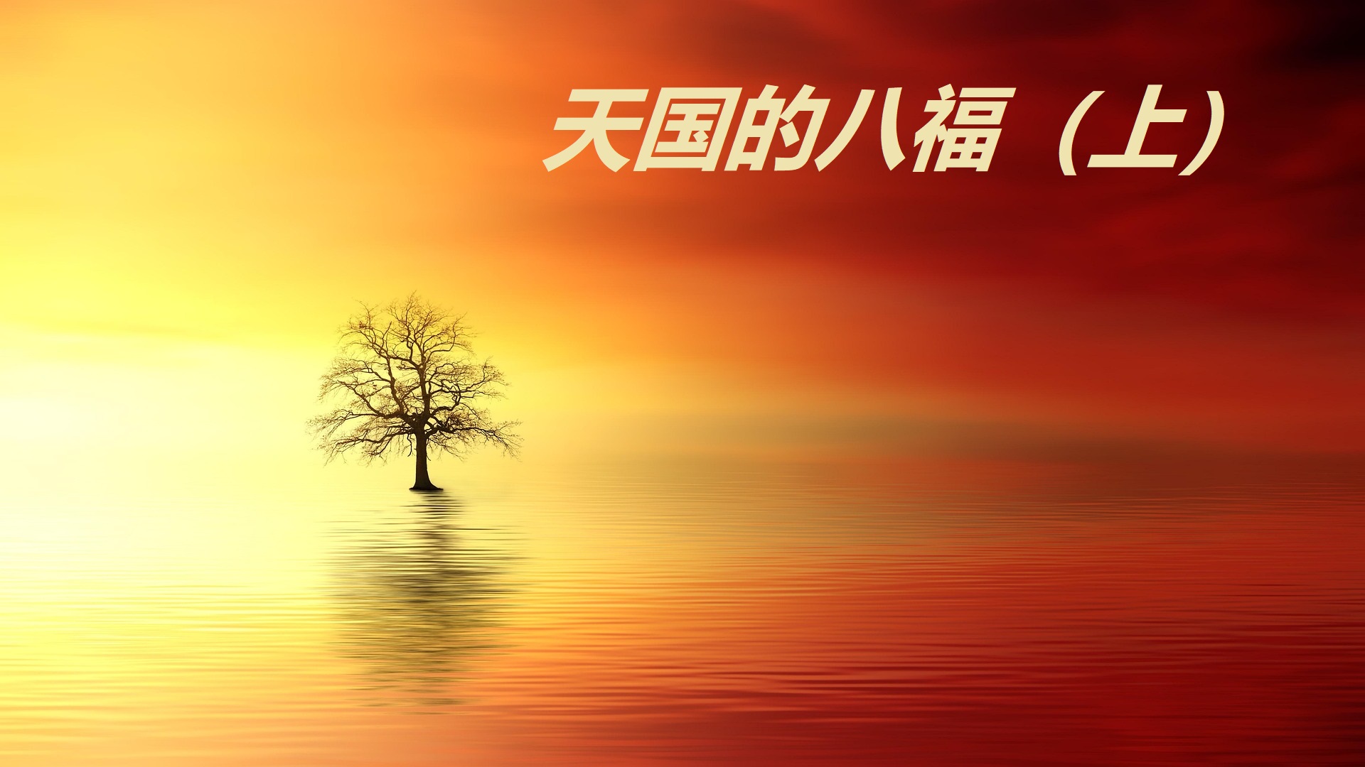 天国的八福(上)(2025/1/26) - 聖愛国際基督教會